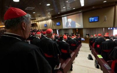 Los cardenales llaman a construir, sin demora, una paz justa y duradera