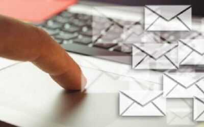 ¡Que no te hagan caer como un chorlito! Una advertencia sobre la avalancha de noticias falsas