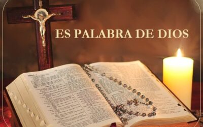 Evangelio del día 2 de Enero ”Yo soy la voz que grita en el desierto“