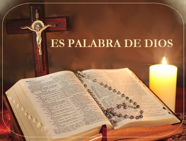 IMAGEN-009-Biblia-Catlica