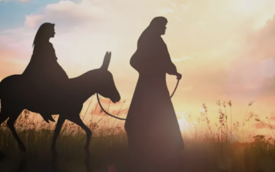 🕯️Celebraciones de Navidad y Año Nuevo en las comunidades🌟